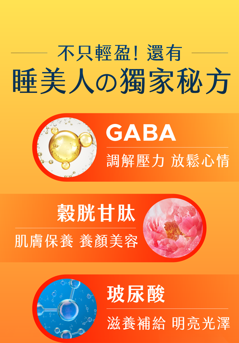 背景圖 8